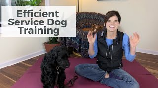 Efficient Service Dog Training