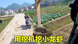 Digging crayfish with an excavator, the little girl is very happy