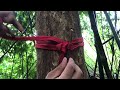 how to tie a hammock to sleep in the amazing forest