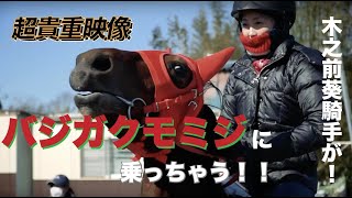 《貴重映像》日本一小さい競走馬？バジガクモミジに木之前葵騎手が乗ってみた！