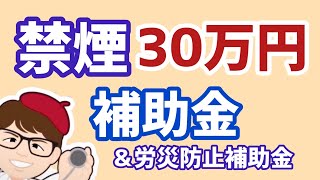 禁煙指導30万円・コラボヘルスコース・健康補助金・エイジフレンドリー補助金・高年齢労働者の労働災害防止コース【中小企業診断士YouTuber マキノヤ先生】第1470回