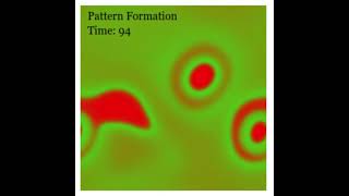 PHYSICS PROGRAMMERS: Chaos and pattern