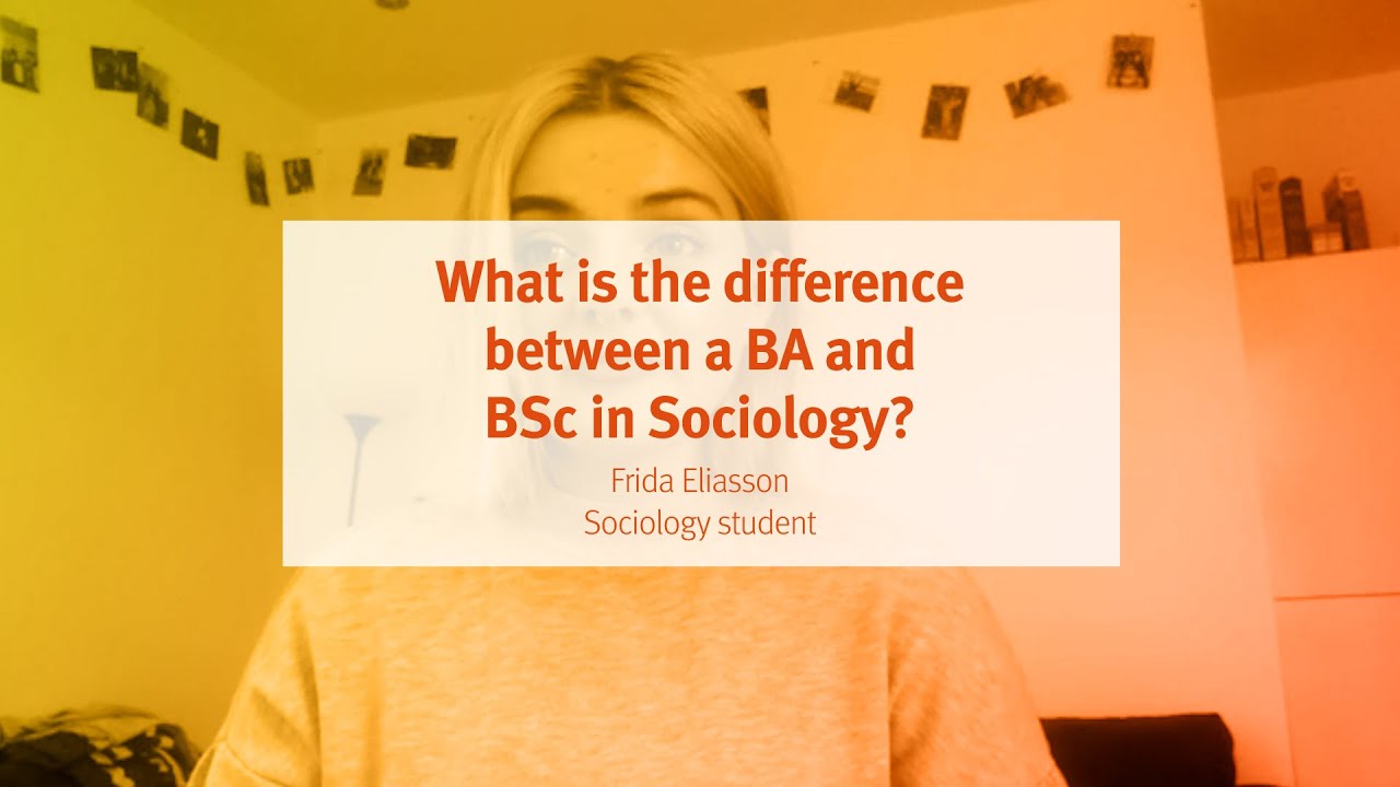 City, University Of London: BA And BSc Sociology - The Differences ...