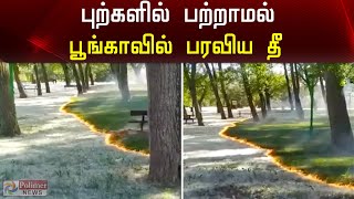 புற்கள் மற்றும் மரங்களில் பற்றாமல் பூங்காவில் பரவிய தீ