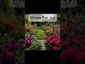 say this prayer for joy pray praying prayerforjoy prayers godisgold dailyprayer faith