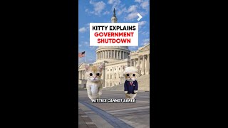 Kitty Explains The Government Shutdown
