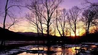 Вечірнє заняття з Хатха-йоги 25.01.2023 Evening Hatha yoga