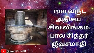 1500 வருட அதிசய சிவ லிங்கம் | பாலசித்தர் ஜீவசமாதி | Balasiddhar | Siddhargal | Sound Of NSK