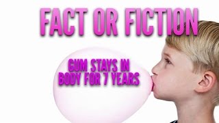 Does gum really stay in your stomach for seven years?