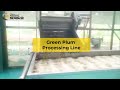 Green plum processing production line