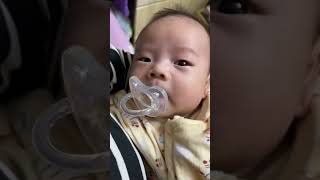 Capture Moment..打噴嚏 | Sneeze #shorts #baby #cute #video #viral #鹿仔 #sneeze