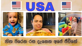 Sri Lankan Rice \u0026 Curry + Homemade Chinese EGG ROLLS + More  #American Life