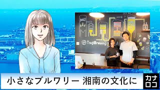 小さなブルワリー 湘南の文化に　AIアナ・１１月１５日／神奈川新聞（カナロコ）