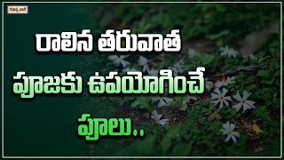 రాలిన తరువాత పూజకు ఉపయోగించే పూలు | Flowers used for puja after arrival | Paarijaatham |Rahasyavaani