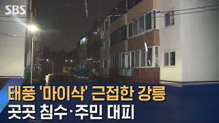 태풍 '마이삭' 근접한 강릉…곳곳 침수 · 주민 대피 / SBS