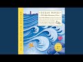 Ocean Waves