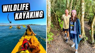 Wildlife Kayaking Kaikoura and the Abel Tasman Coastal Track | Camper Van Trip South Island NZ