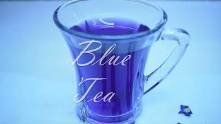 BLUE TEA / നീല ചായ / BUTTERFLY PEA FLOWER TEA / നീലശംഖുപുഷ്പം ചായ