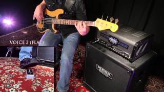 MESA/Boogie Bass Strategy 8:88 – Tapping \u0026 Walking