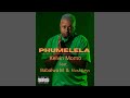 Kelvin Momo - Phumelela feat. Babalwa M & Musa Keys (Official Audio)