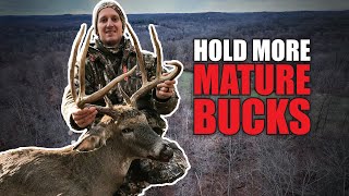 Hold More Mature Bucks - Indiana Consulting Case Study | Bowhunting Whitetails w/ Bill Winke