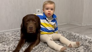 Funny moment!Baby Shows His Dog How to Wear Clothes