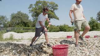 Equinor Supports the Billion Oyster Project