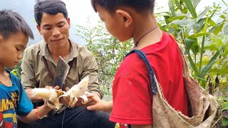 60 days of harvesting cassava, ginger, taro, tomatoes, beans, making banh day to enjoy and sell