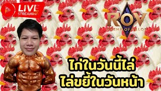 ไก่ในวันนี้ไล่ขยี้ในวันหน้า EP.13