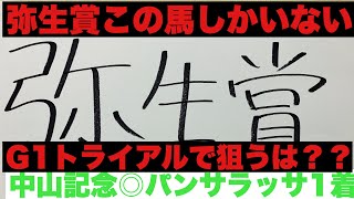 【チューリップ賞2022】【弥生賞2022】G1へのステップレースです！って事は？？頼む動画観ないで…こんな人気で買えるのは最後です！？