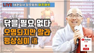 [마조11] 실시간 일요법회 법상스님의 마조어록 법문