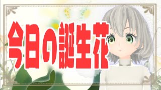 【花言葉】１０月３１日の誕生花は？／花白もか