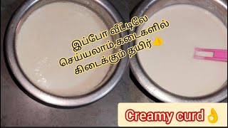 Suja's Vlog|#188|இது தெரிந்தால் தயிர் இனிமேல் கடையில் வாங்க தேவை இல்லை👍|how to make Creamy Curd🤔