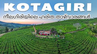 ഊട്ടിയേക്കാൾ സുന്ദരിയാണോ കോട്ടഗിരി 🤩  Kotagiri Malayalam | Ooty Trip Malayalam | Coonoor Malayalam