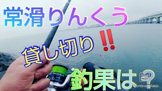 【愛知県釣り】常滑りんくう、貸し切りだぜっ！　だって雨だもの（笑）