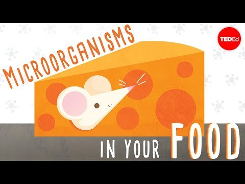 How is bacteria helpful in food?