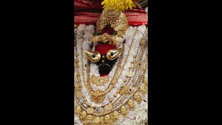 Jai maa kali jai maa वैष्णो देवी mata रानी ki jai shree Arti Vindhyachal महारानी की आरती