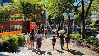 4K Tokyo Walk \u0026 Train Ride - Yamanote Line from Shinjuku and a Summer Stroll in Harajuku