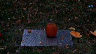 Exploding Pumpkin #3