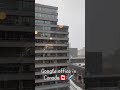 google office in canada🇨🇦✈️ google