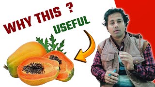 Papaya is the ABSOLUTE BEST Way to Boost Your Immune System!