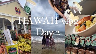 vlog）Hawaii vlog day2✌️ハワイ旅行🌊ウミガメ…🪼🐢本場のEggs'n Things🍳 日本食IMANAS亭🍙