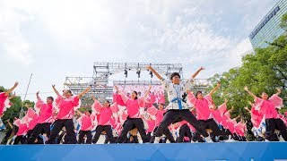 [4K] 岐阜聖徳学園大学 柳　にっぽんど真ん中祭り 2019 どまつり 土曜日