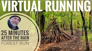 Virtual Run 4k | Forest Trail Running | Virtual Running Videos for Treadmill | Germany | Berlin