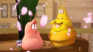 LARVA | Dieta | 2017 Película Completa | Dibujos animados para niños | WildBrain en Español