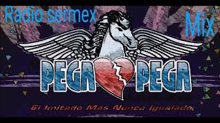 El Pega💔pega Mix🎼🎼