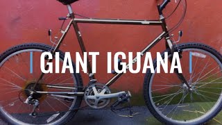 Giant Iguana Steel Mountain Bike 80's