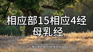 169.相应部15相应4经 母乳经（白话佛经）解说