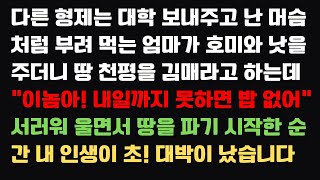 [반전사이다사연]다른 형제는 대학 보내주고 난 머슴처럼 부려먹는 엄마가 호미와 낫을 주더니 땅 천평을 김매라고 하는데  이놈아! 내일까지 ~ #라디오드라마 #사연라디오 #신청사연