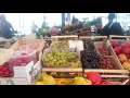 venice little bird eating fruit at the rialto market in venice